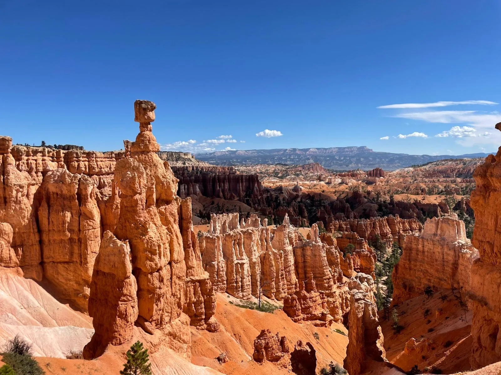 Orange hoodoos in the Bryce Canyon amphitheater under a deep blue sky, one tall spire standing in front