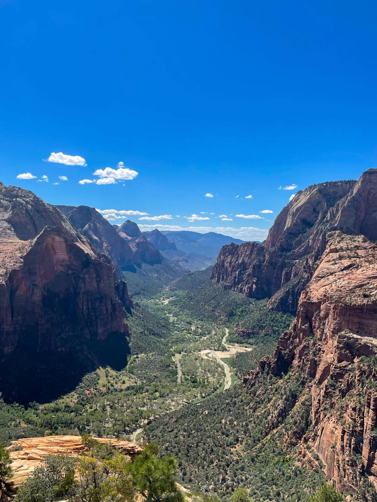 Zion Canyon seen from high above, the Virgin River winding along the green valley floor between red cliffs